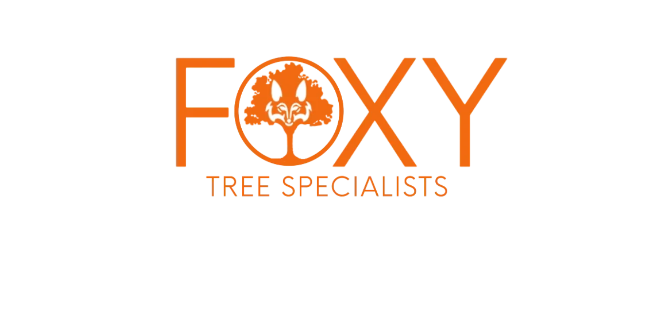 Home Tree Maintenance Services London Foxy Arboriculture Ltd