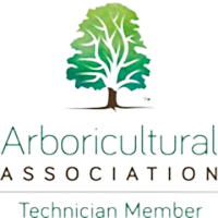 Arboricultural association member