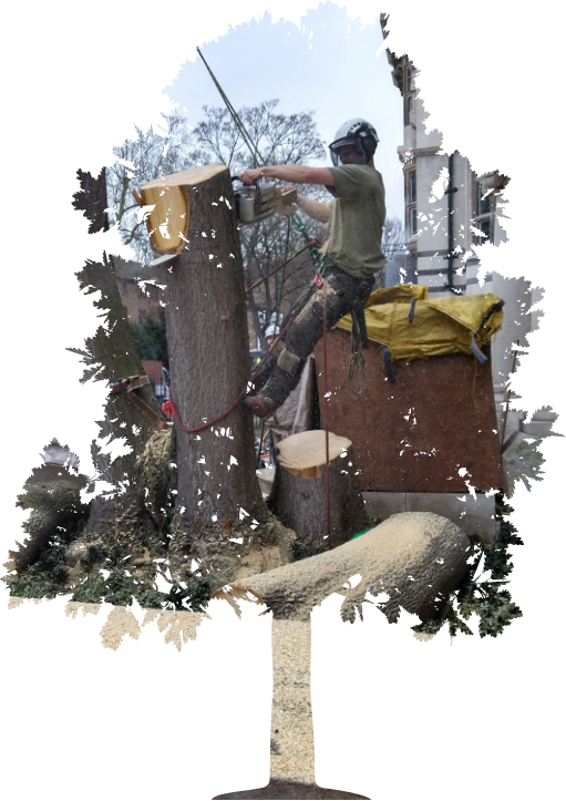 The worker with helmet working at height on the trees